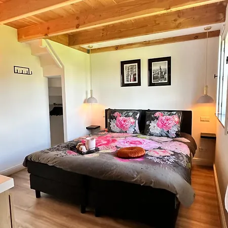 Noxem * Boesingheliede