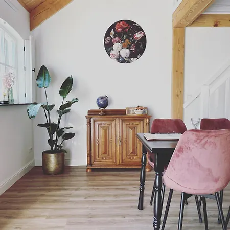 Noxem Daire Boesingheliede