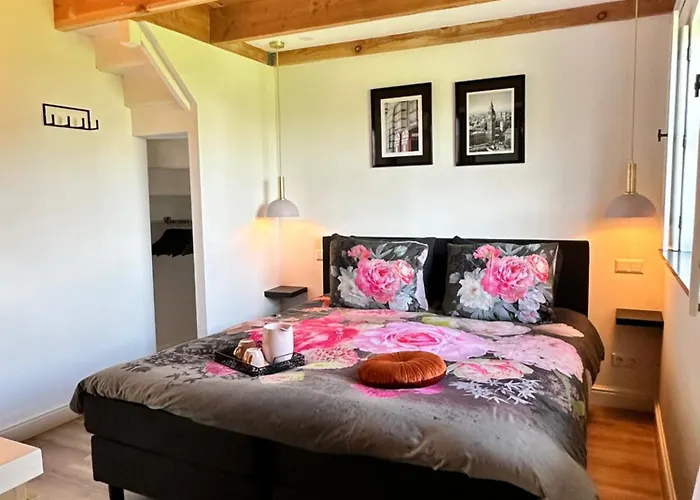 Noxem * Boesingheliede